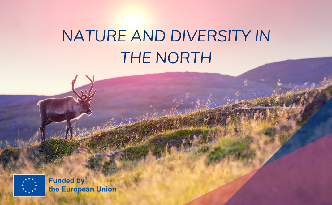 Nordic JEF sections launch a joint Erasmus+ project