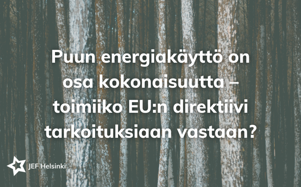 Puun energiakäyttö on osa kokonaisuutta – toimiiko EU:n direktiivi tarkoituksiaan vastaan?